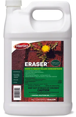 1 GALLON ERASER