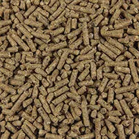14% HORSE & CATTLE FEED