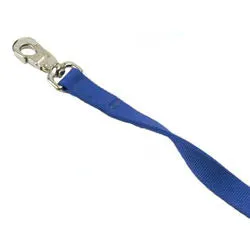 1" DOUBLE LAYER NYLON LEASH 6'' BLUE