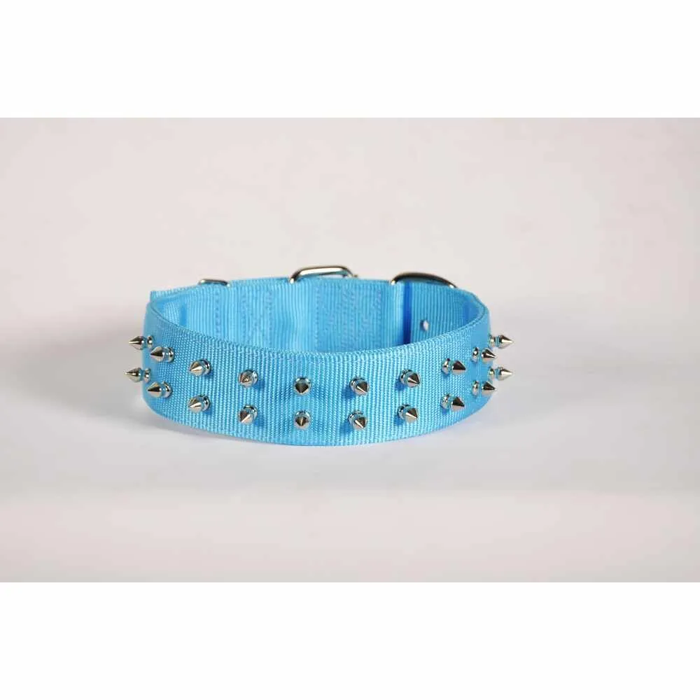 20'' PET COLLAR -TURQUOISE- SPIKE