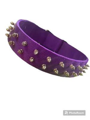 26'' PET COLLAR PURPLE- SPIKE
