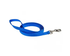 3/4" SINGLE LAYER NYLON LEASH BLUE  6'