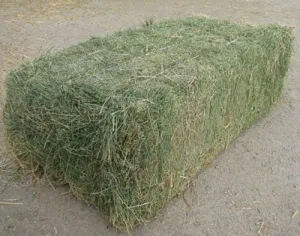 ALFALFA HAY BALE - 3 STRING (PACA ALFALFA 3 HILOS)