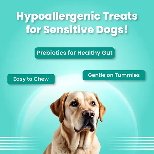 Bark Out Loud by Vivaldis Mini Fishes Grain Free & Hypoallergenic Dog Treats