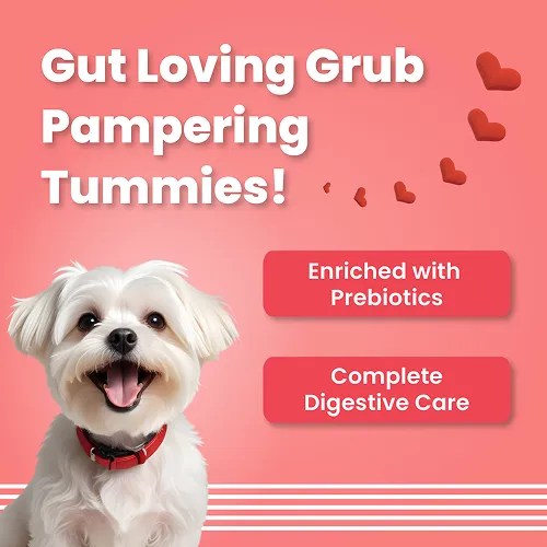 Bark Out Loud by Vivaldis Red Hearts Spanish Dog Treats