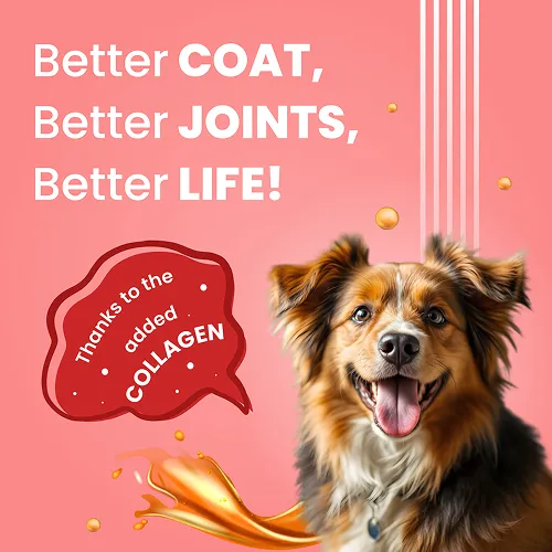 Bark Out Loud Collagen Protein Bar Chicken & Fish Treat for Dogs