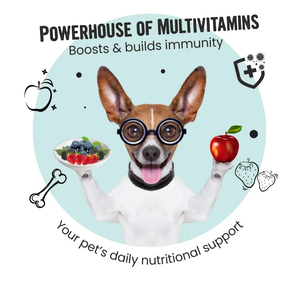 Bark Out Loud Immunity Multi Vitamin Chew Stix and Henlo Chicken Jerky Treat Combo for Dogs