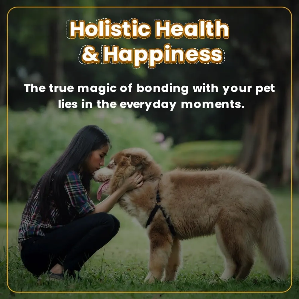 Bark Out Loud Immunity Multi Vitamin Chew Stix and Henlo Chicken Jerky Treat Combo for Dogs