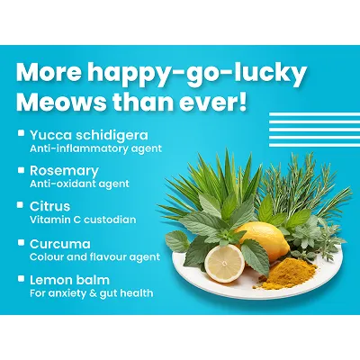 Bark Out Loud Salmon and Chicken Kitten Dry Food