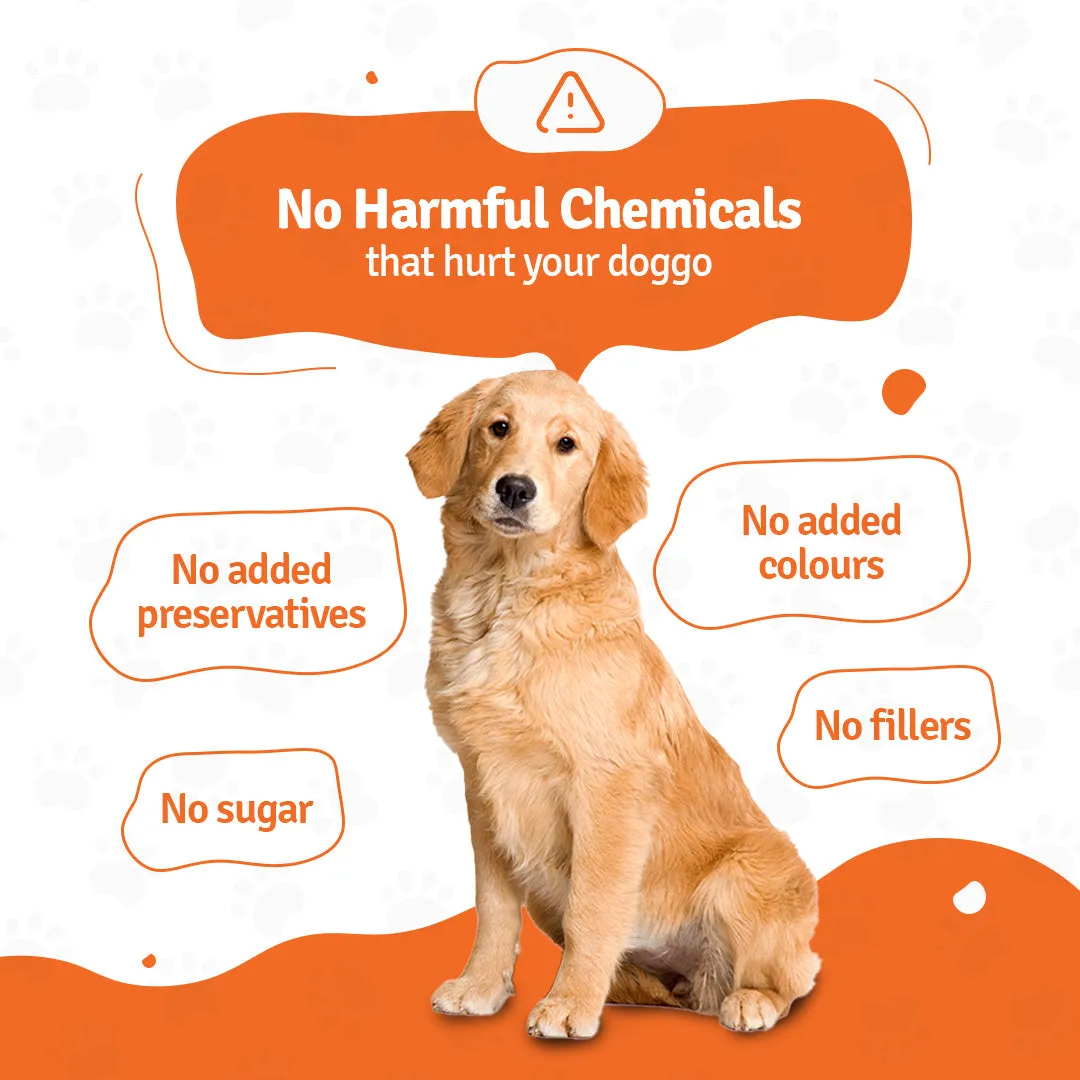 BLEP Paneer Quinoa Pawer Dog Wet Food (100g)