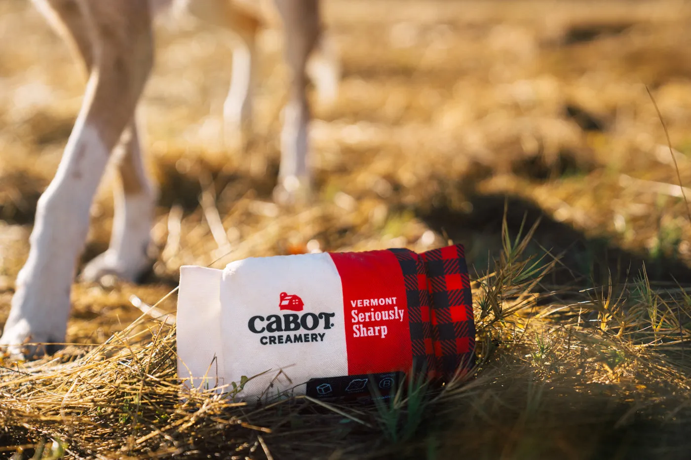 Cabot Creamery x P.L.A.Y. Seriously Sharp Squeaker