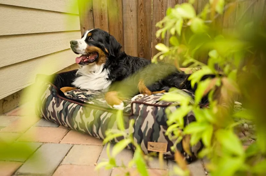 Camouflage Lounge Bed