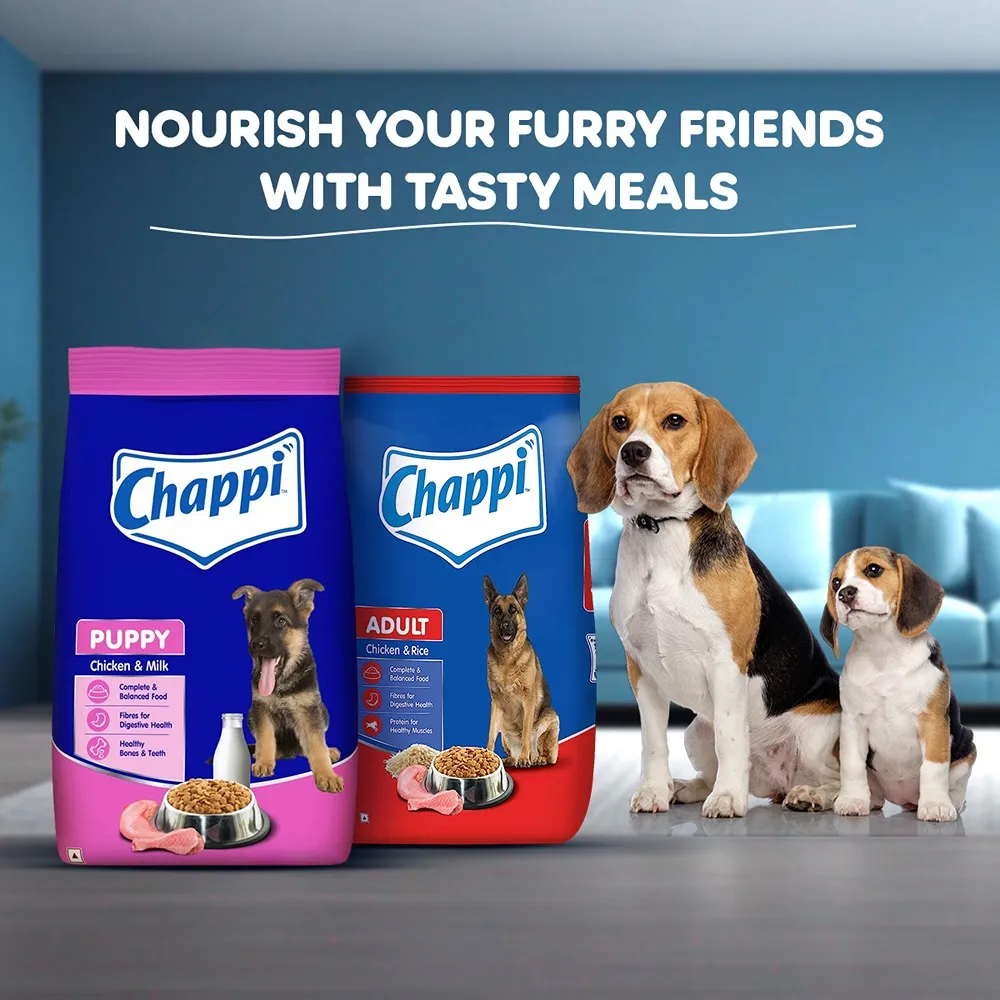 Chappi Chicken & Rice Adult Dog Dry Food