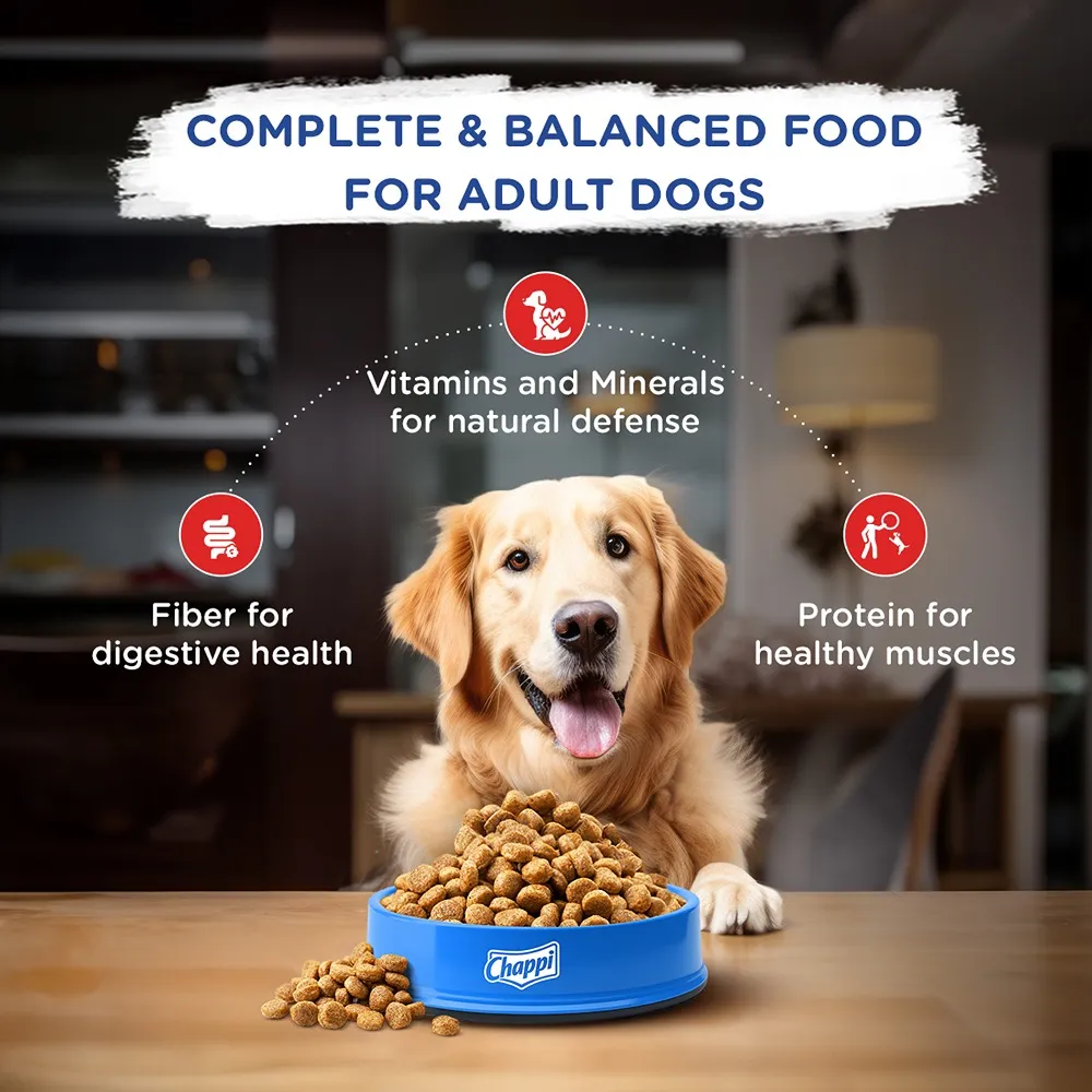 Chappi Chicken & Rice Adult Dog Dry Food