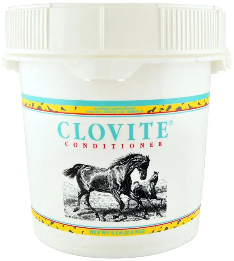CLOVITE CONDITIONER 5 LB
