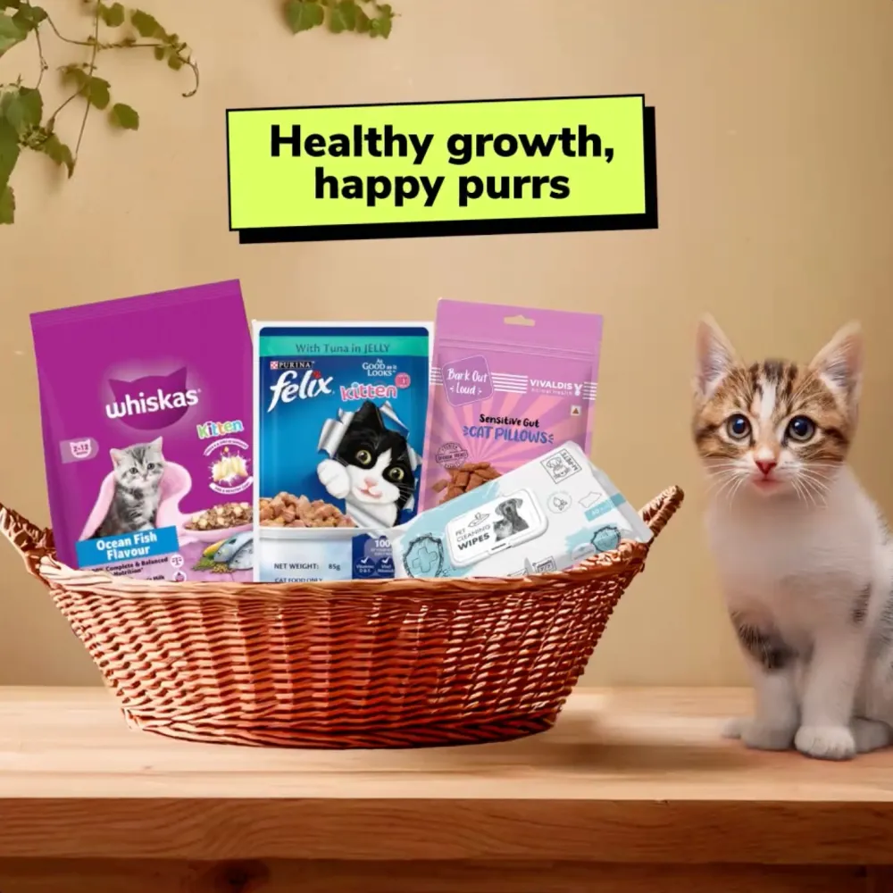 Complete Kitten Nutrition & Hygiene Set (2-12 Months) Food, Treat and Wipes