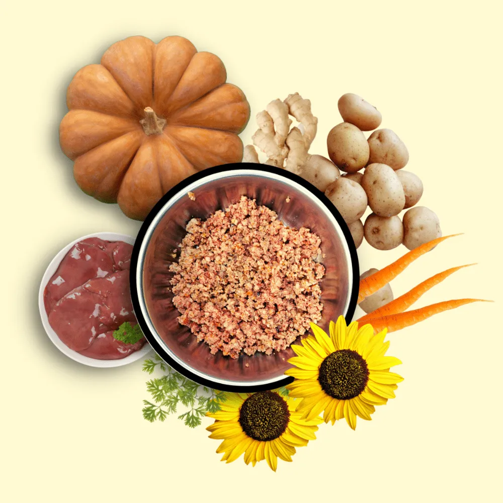 Doggos Mini Jumbo Monster Chicken and Pumpkin Fresh Dog Wet Food (Small Breeds)  (Limited Shelf Life)