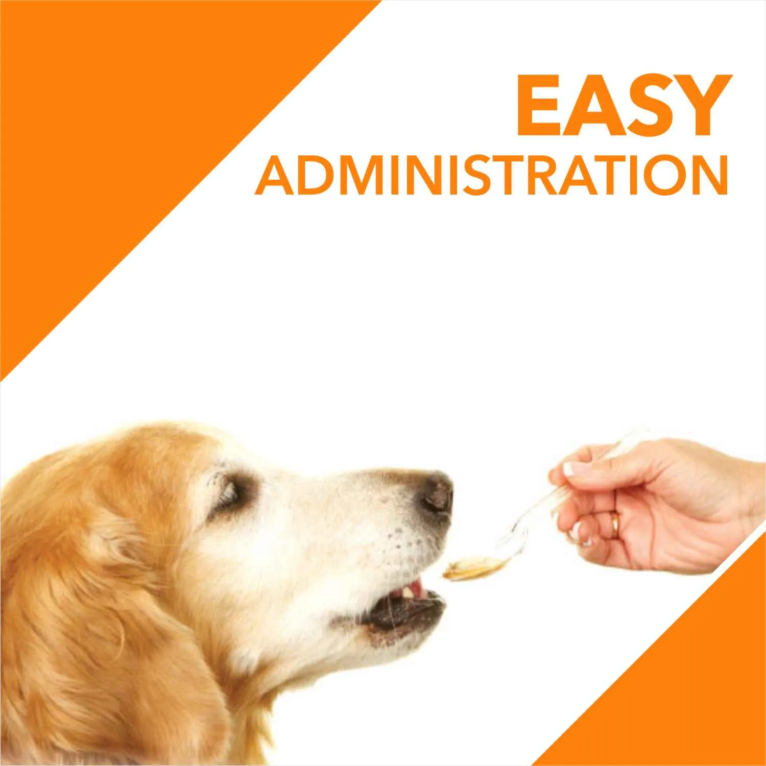 Drools Absolute Salmon Oil Syrup Supplement and Vitamin Supplement Tablets for Dogs Combo