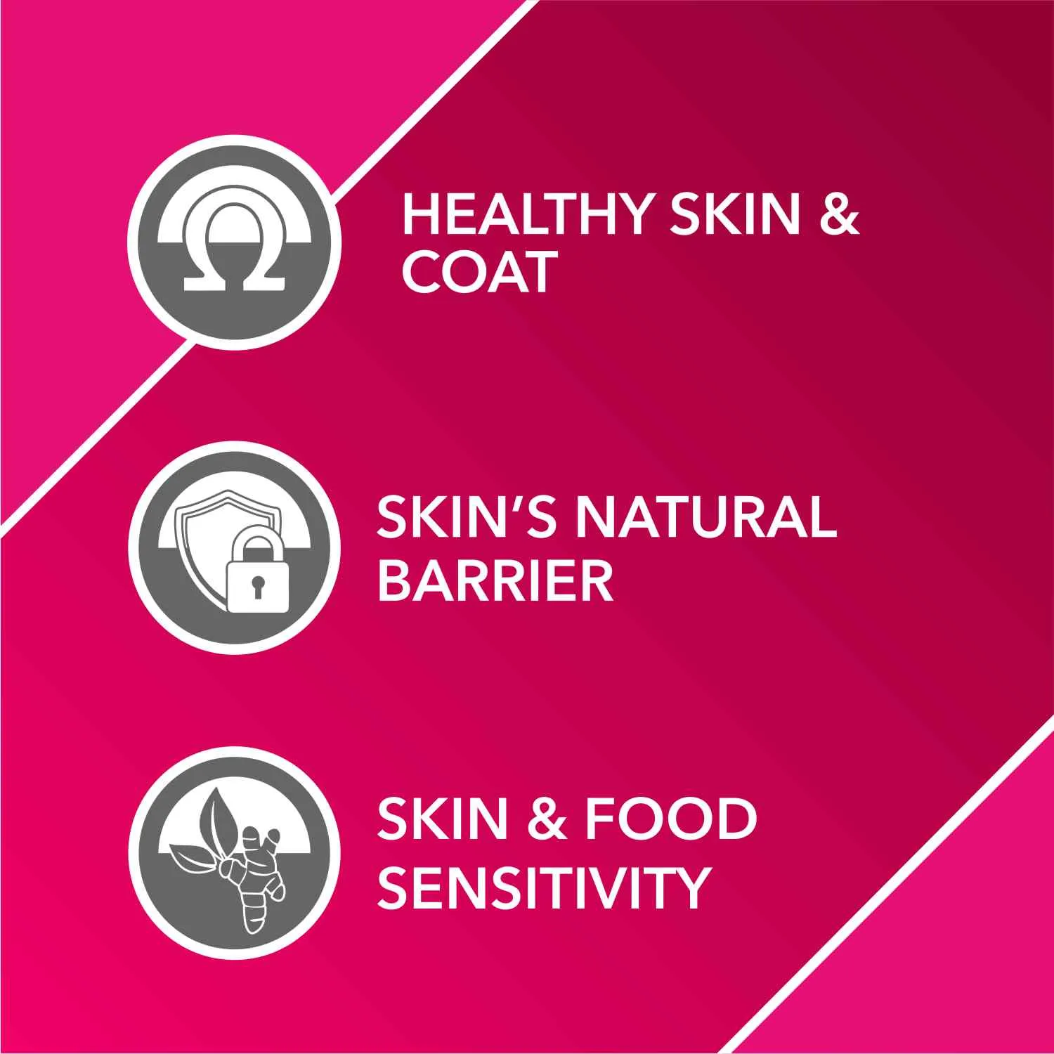 Drools Absolute Skin & Coat and  Absolute Calcium Supplement Tablets for Dogs Combo
