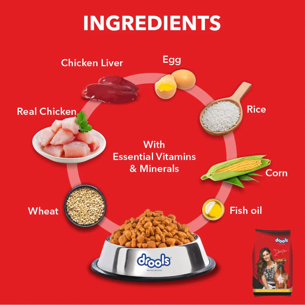 Drools Chicken and Egg Adult Dog Dry Food