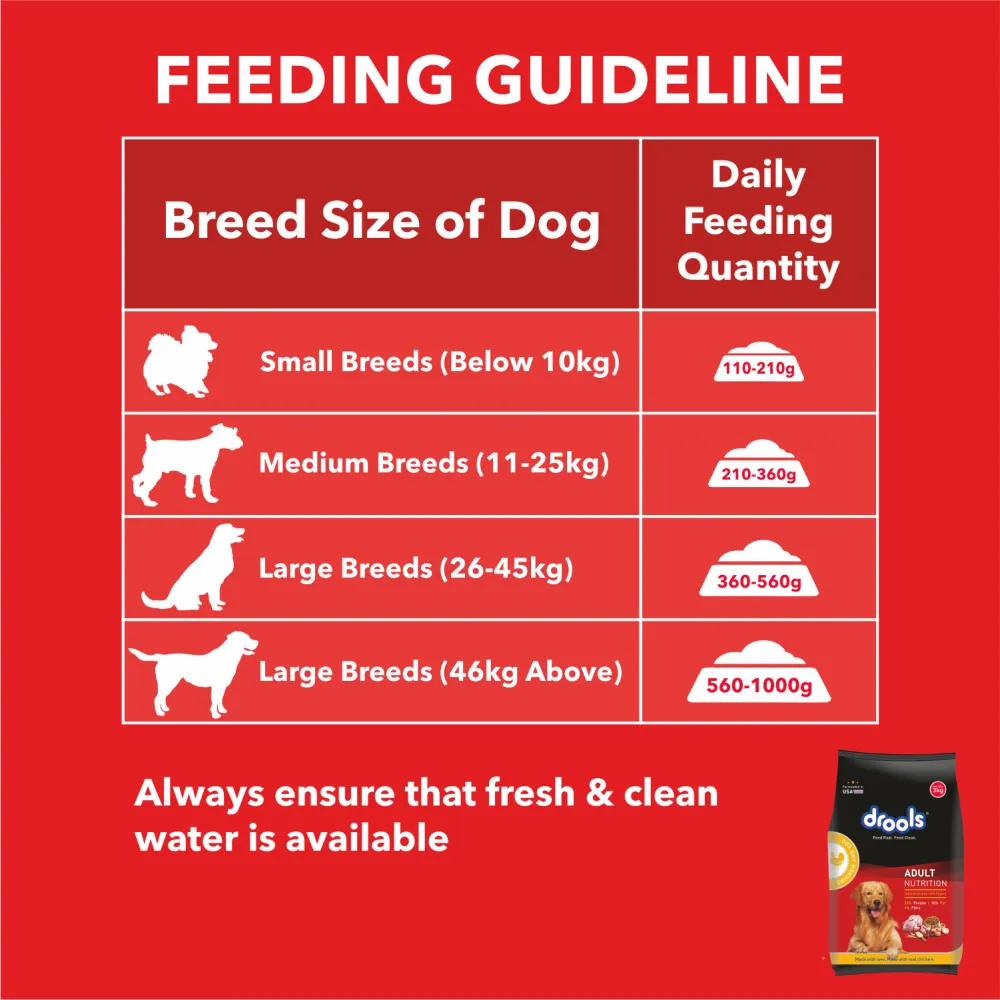 Drools Chicken and Egg Adult Dog Dry Food
