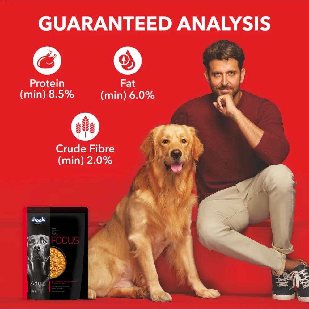 Drools Focus Real Chicken & Chicken Liver Chunks in Gravy Adult Dog Wet Food