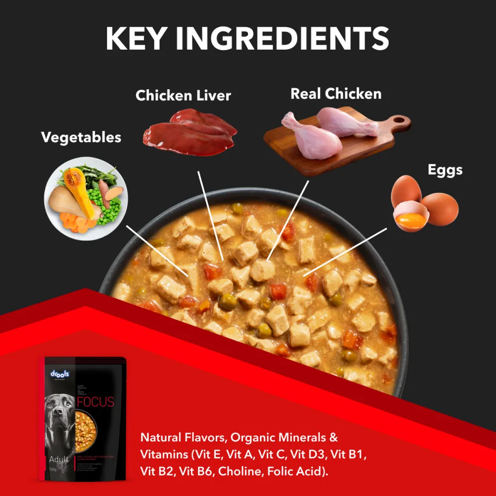 Drools Focus Real Chicken & Chicken Liver Chunks in Gravy Adult Dog Wet Food