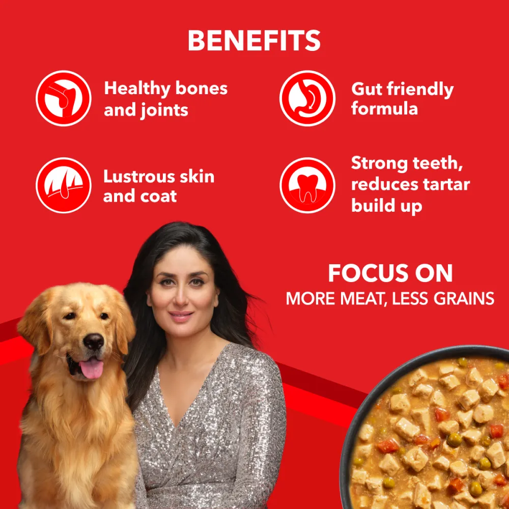 Drools Focus Real Chicken & Chicken Liver Chunks in Gravy Adult Dog Wet Food