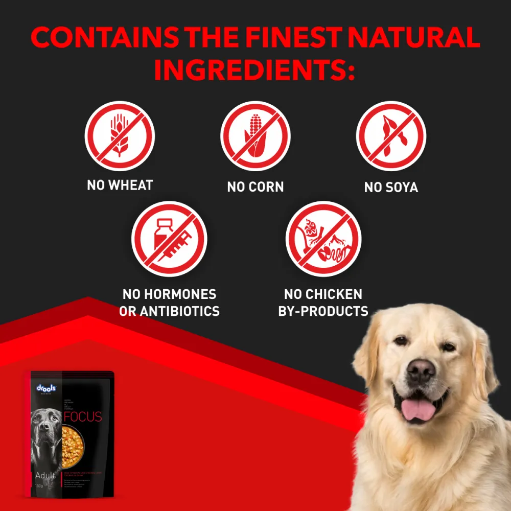 Drools Focus Real Chicken & Chicken Liver Chunks in Gravy Adult Dog Wet Food