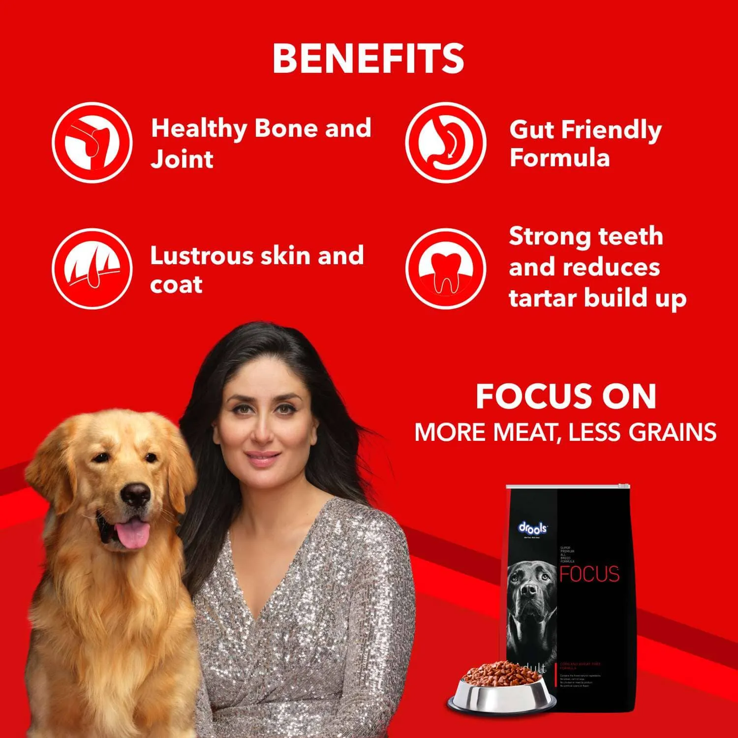 Drools Focus Super Premium Adult Dry Dog Food | Corn & Wheat Free Formula