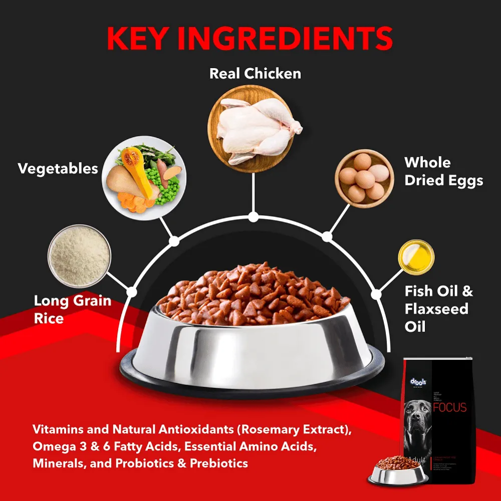 Drools Focus Super Premium Adult Dry Dog Food | Corn & Wheat Free Formula