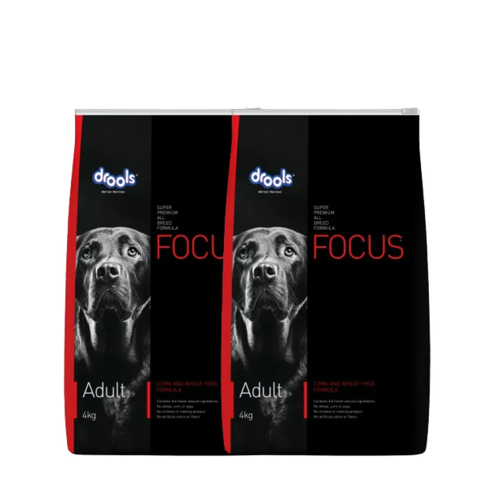 Drools Focus Super Premium Adult Dry Dog Food | Corn & Wheat Free Formula