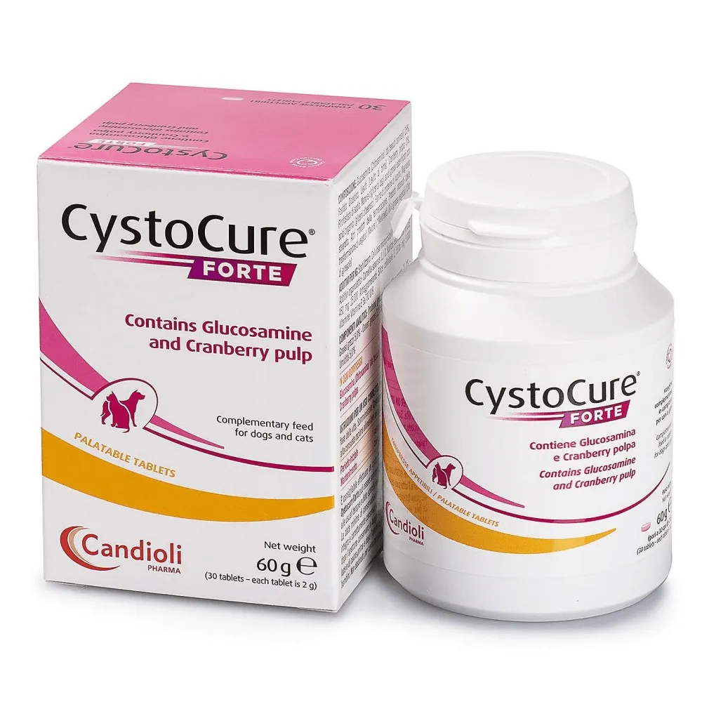 Dyntec Cystocure Forte Tablet for Dogs and Cats (pack of 30 tablets)
