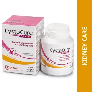 Dyntec Cystocure Forte Tablet for Dogs and Cats (pack of 30 tablets)