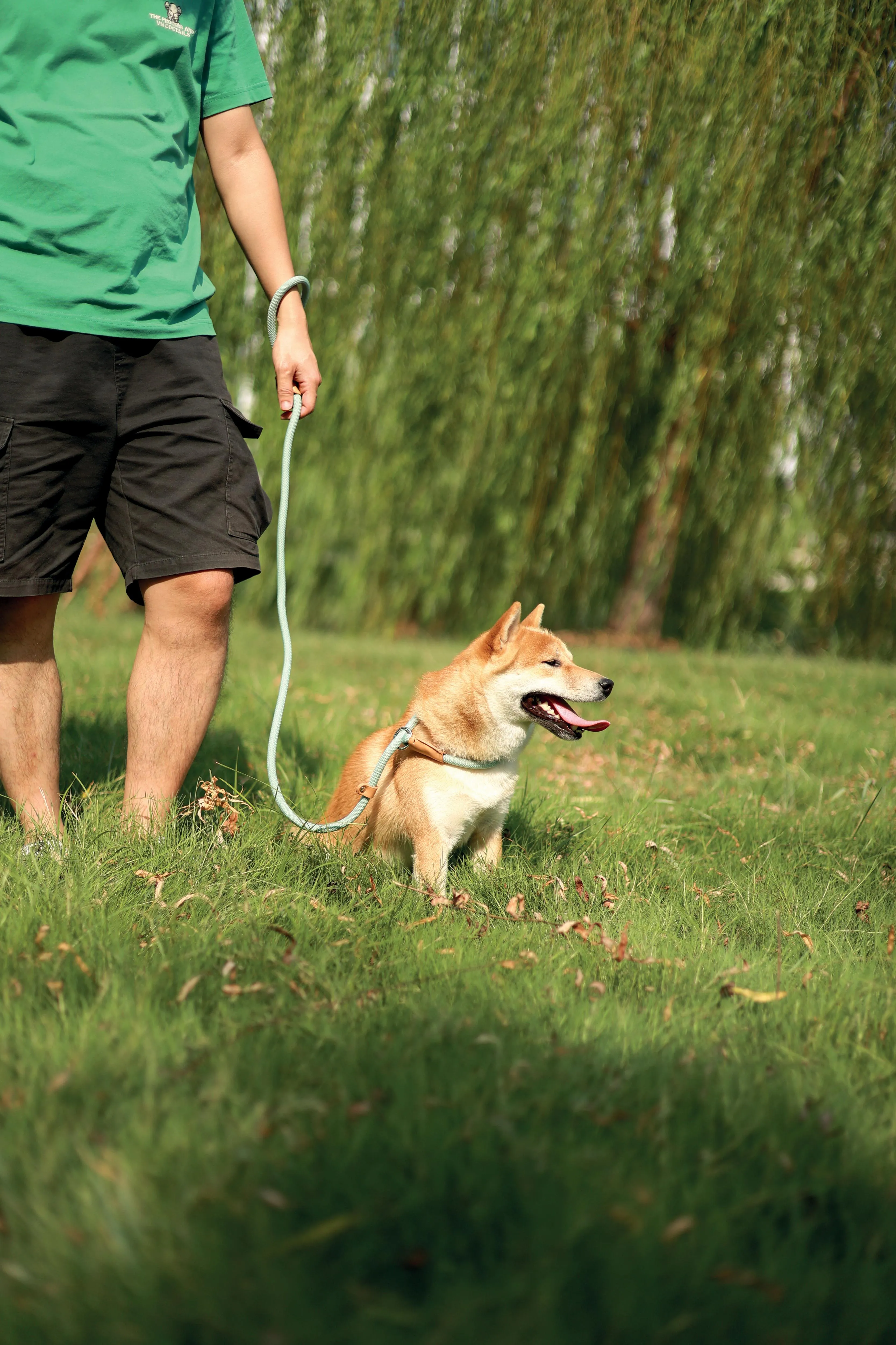 ECO Dog Leash & Collar 2 in 1 White