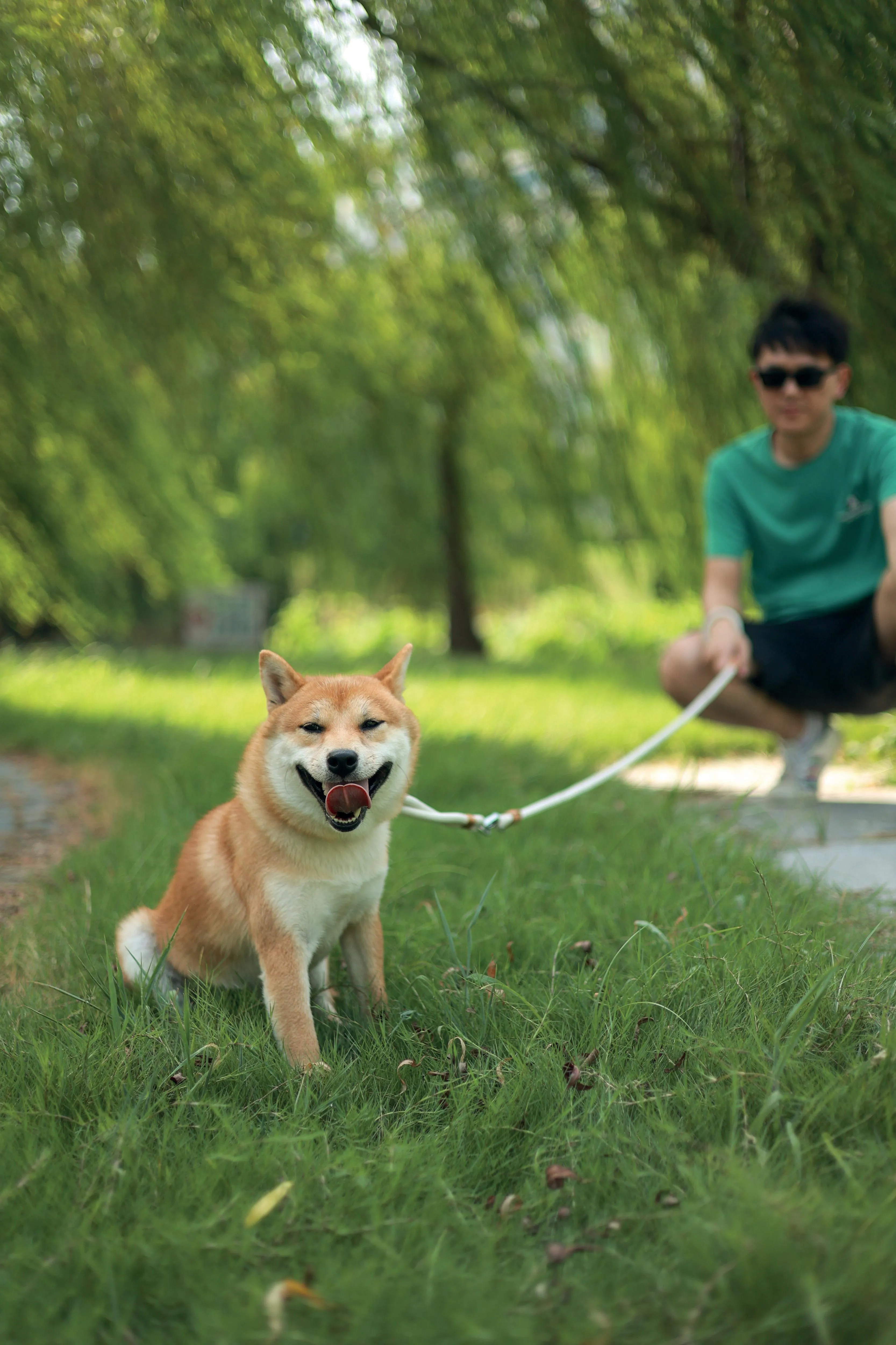 ECO Dog Leash & Collar 2 in 1 White