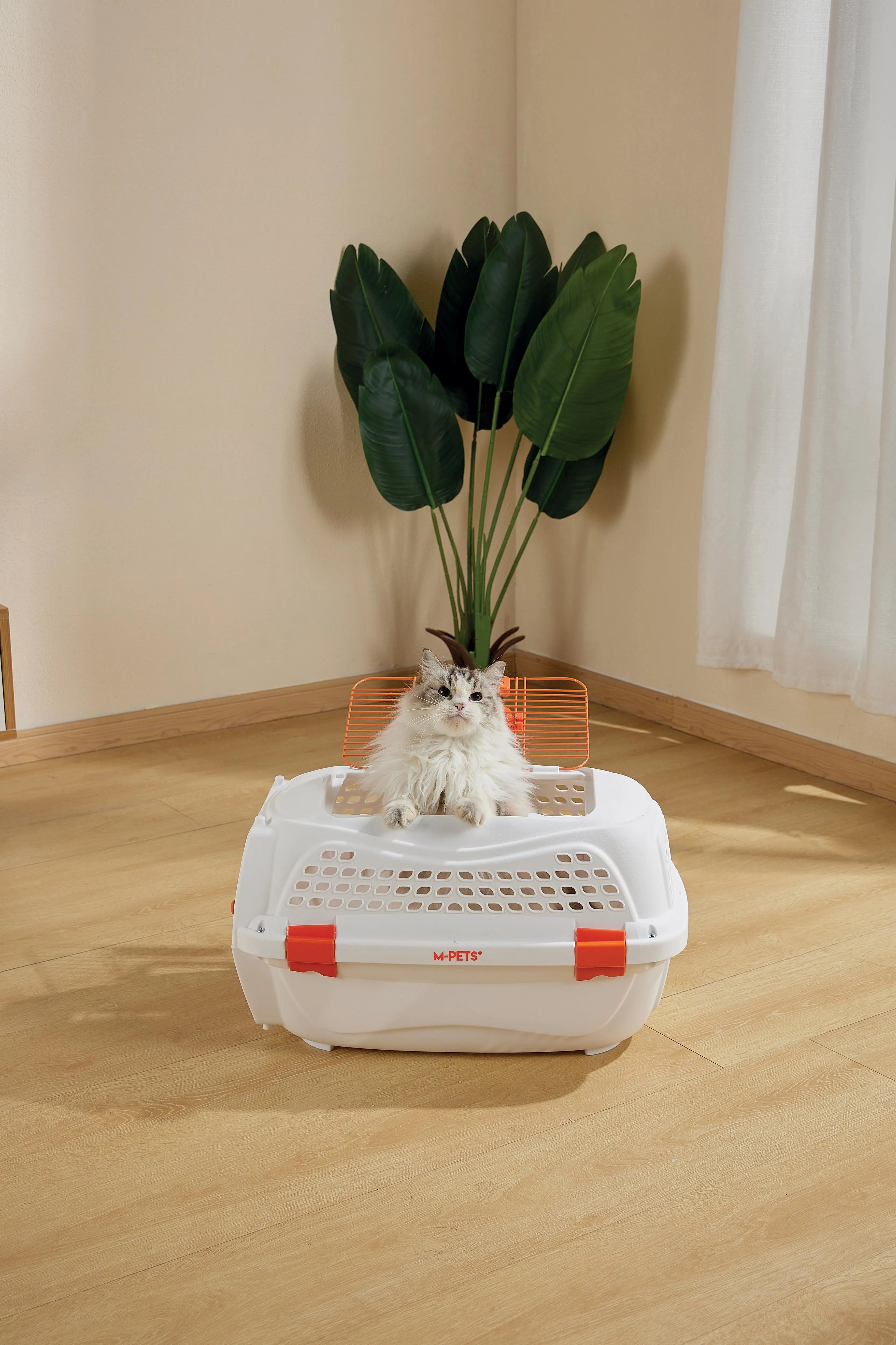 ECO GIRO Carrier White