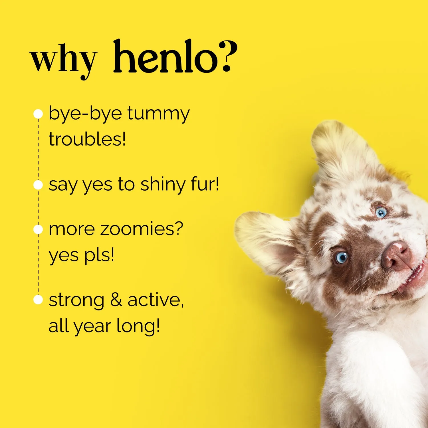 Essential Puppy Starter Pack (212 Months) Food, Treat and Collar