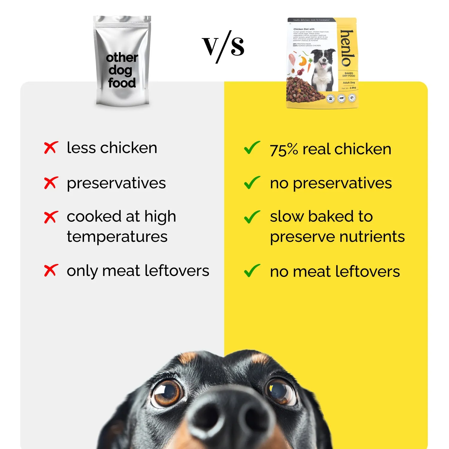 Essential Puppy Starter Pack (212 Months) Food, Treat and Collar