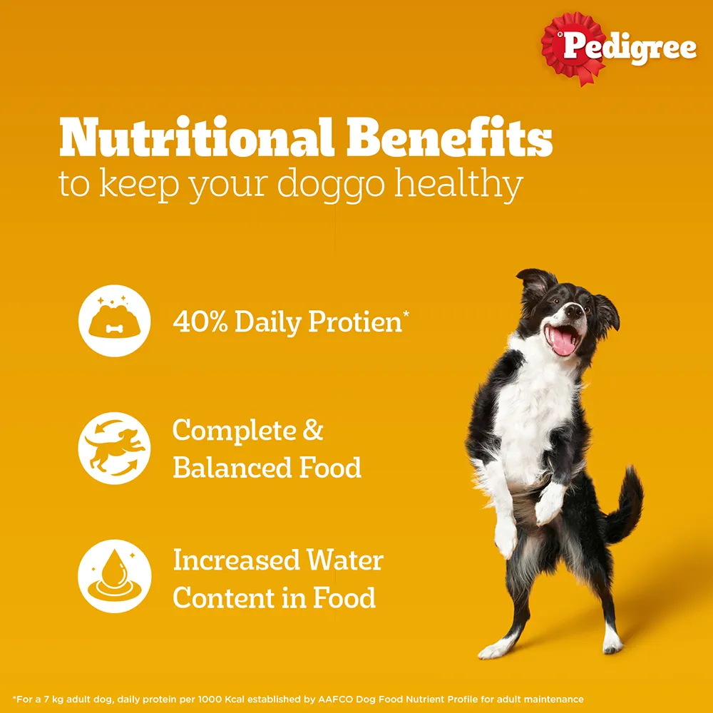 Essential Puppy Starter Pack (212 Months) Food, Treat and Collar