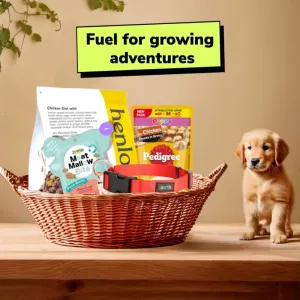 Essential Puppy Starter Pack (212 Months) Food, Treat and Collar