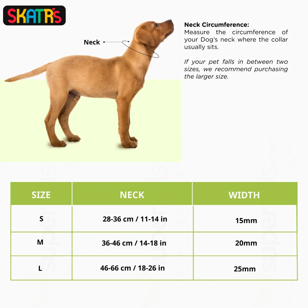 Essential Puppy Starter Pack (212 Months) Food, Treat and Collar