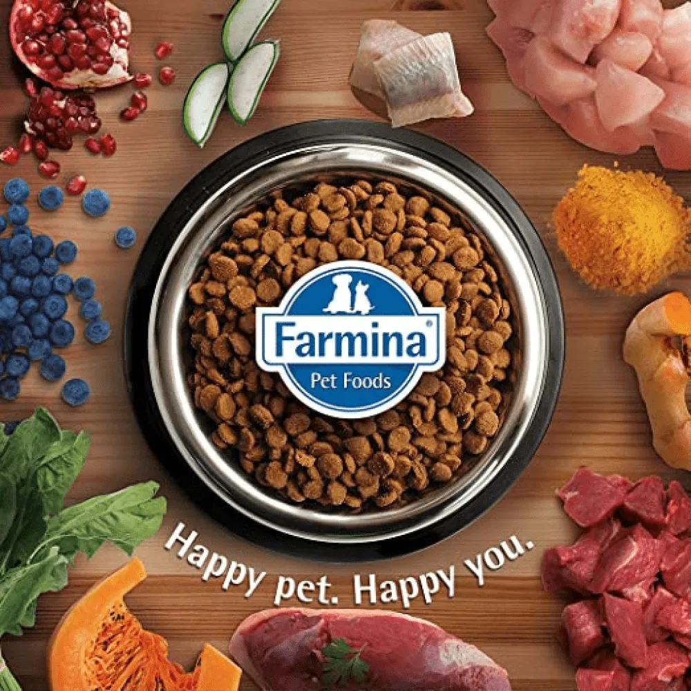 Farmina N&D Quinoa and Lamb Grain Free Weight Management Adult Cat Dry Food