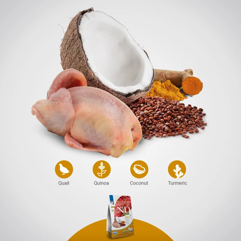 Farmina N&D Quinoa Quail Coconut & Turmeric Skin & Coat Adult Mini Dog Dry Food (Limited Shelf Life)