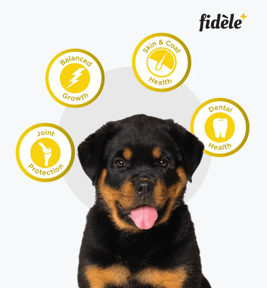 Fidele Plus Large Puppy Dry Food (Limited Shelf Life)