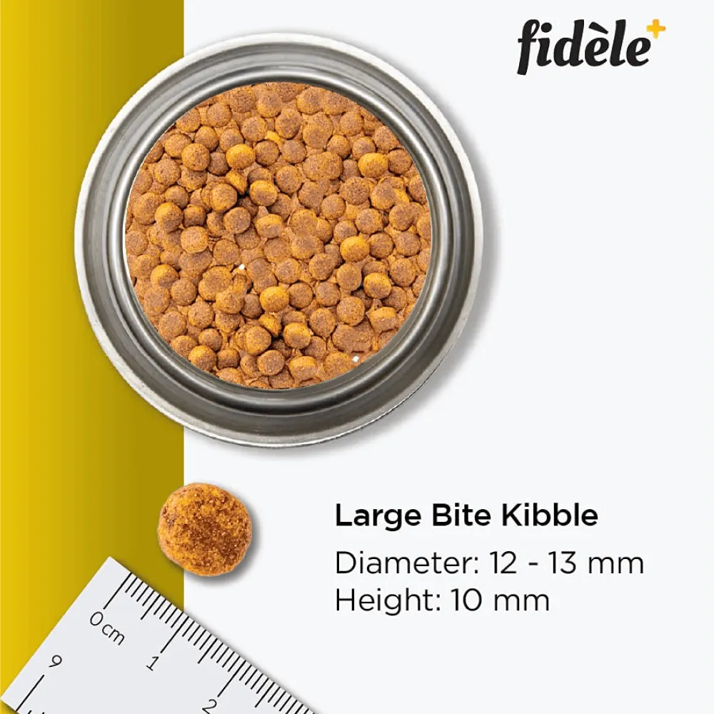Fidele Plus Large Puppy Dry Food (Limited Shelf Life)