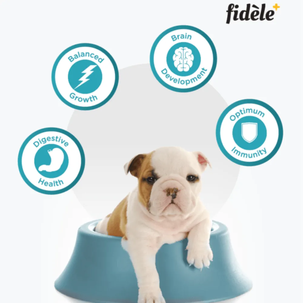 Fidele Plus Starter Puppy Dry Food (Limited Shelf Life)