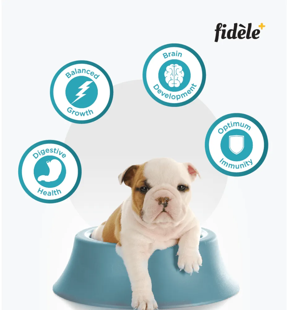Fidele Plus Starter Puppy Dry Food (Limited Shelf Life)