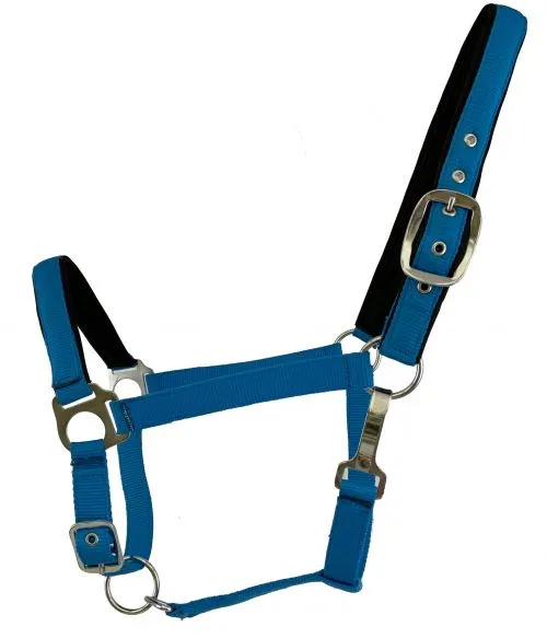 FLUORESCENT NEOPRENO HALTER - HORSE SIZE