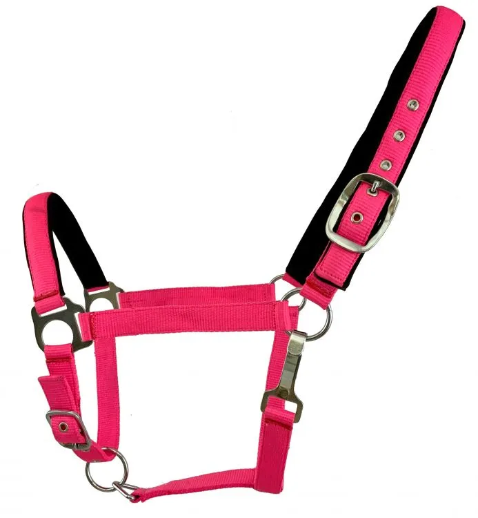 FLUORESCENT NEOPRENO HALTER - HORSE SIZE